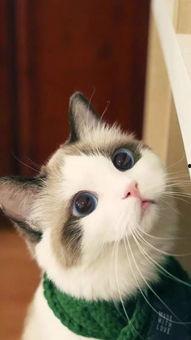 幼幼国产,探索梦幻童年的奇幻世界