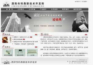 国产页,引领时代潮流的国产力量