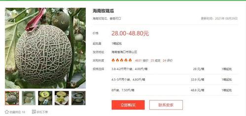 娱乐类吃瓜小说